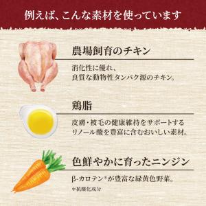 お試し 公認店 ニュートロ シュプレモ 子猫用...の詳細画像4
