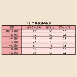お試し 公認店 ニュートロ シュプレモ 子猫用...の詳細画像5