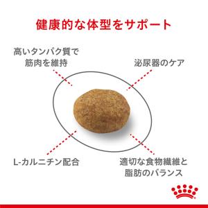 ロイヤルカナン 猫 去勢 避妊 4kg ステア...の詳細画像4