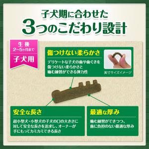 公認店 グリニーズプラス 生後2カ月からの 子...の詳細画像3