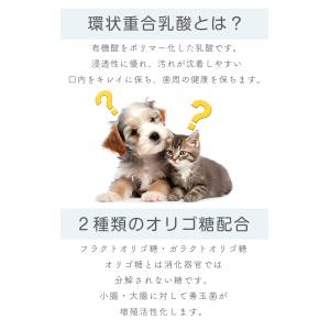 ペットクール ブレスケア 歯磨きスプレー50mlの詳細画像3