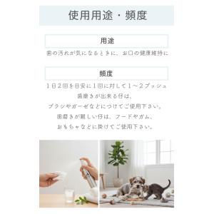 ペットクール ブレスケア 歯磨きスプレー50mlの詳細画像4