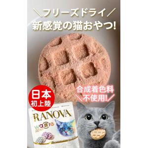 初回お試し RANOVA ラノバ フリーズドラ...の詳細画像1