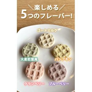 初回お試し RANOVA ラノバ フリーズドラ...の詳細画像3
