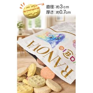 初回お試し RANOVA ラノバ フリーズドラ...の詳細画像4