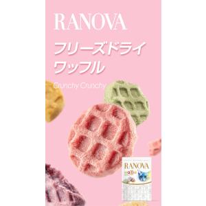 初回お試し RANOVA ラノバ フリーズドラ...の詳細画像5