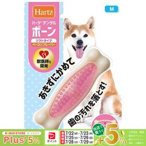 KONG（コング） コングジャパン ワイルドノット テディ S : ペッツ