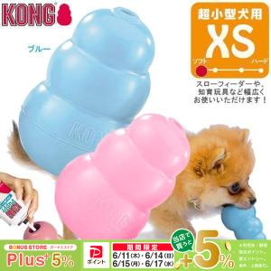 KONG（コング） コングジャパン ワイルドノット テディ S : ペッツ