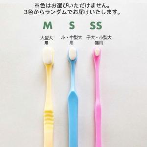 AEI INTER WORLD 天使の羽ブラシ...の詳細画像1