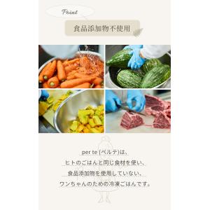 合わせ買いで送料無料 ペルテ アラカルト 選べ...の詳細画像2