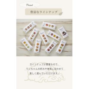 合わせ買いで送料無料 ペルテ アラカルト 選べ...の詳細画像4