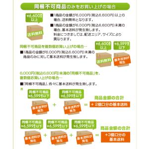 公認店 ニュートロ シュプレモ ドッグフード ...の詳細画像4