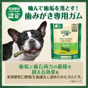 公認店 グリニーズプラス カロリーケア 超小型...の詳細画像1