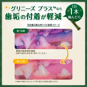 公認店 グリニーズプラス カロリーケア 超小型...の詳細画像3