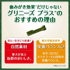 公認店 グリニーズプラス カロリーケア 超小型...の詳細画像4