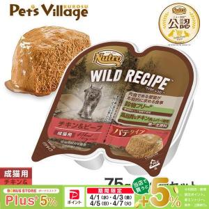 シシア（Schesir） ゼリータイプ チキン 85g×14缶（キャットフード 猫