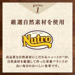 ニュートロ キャット デイリー ディッシュ シ...の詳細画像3