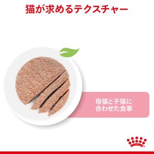 ロイヤルカナン 猫 ウェット 成長前期の子猫用...の詳細画像2