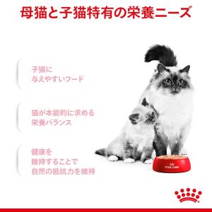 ロイヤルカナン 猫 ウェット 成長前期の子猫用...の詳細画像3