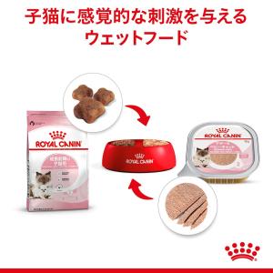 ロイヤルカナン 猫 ウェット 成長前期の子猫用...の詳細画像4