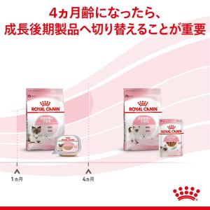 ロイヤルカナン 猫 ウェット 成長前期の子猫用...の詳細画像5