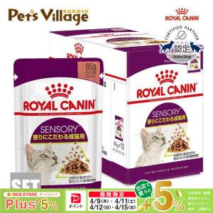 ロイヤルカナン FHN-WET SENSORY ...の商品画像