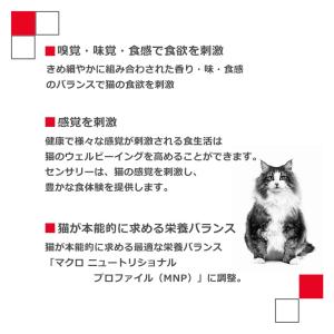 ロイヤルカナン FHN-WET SENSORY...の詳細画像3