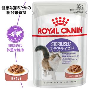 ロイヤルカナン FHN-WET ステアライズド...の詳細画像2