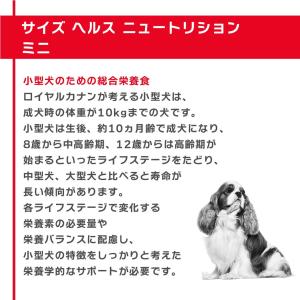 ロイヤルカナン SHN-WET ミニ アダルト...の詳細画像2