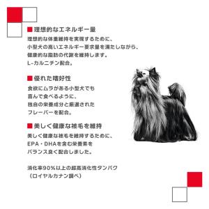 ロイヤルカナン SHN-WET ミニ アダルト...の詳細画像3