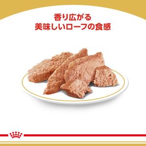 ロイヤルカナン BHN-WET プードル 成犬...の詳細画像3