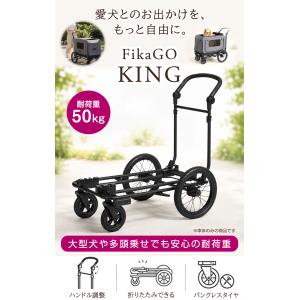 コンビ フィカゴー キング&クイーン S セッ...の詳細画像2