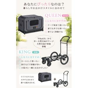 コンビ フィカゴー キング&クイーン S セッ...の詳細画像4