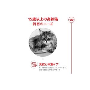 ロイヤルカナン FHN-WET エイジング 1...の詳細画像2