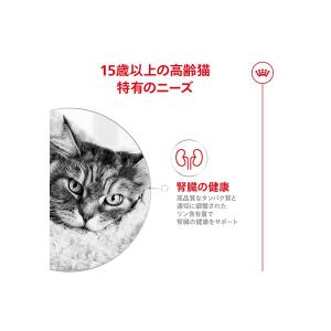 ロイヤルカナン FHN-WET エイジング 1...の詳細画像3