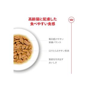 ロイヤルカナン FHN-WET エイジング 1...の詳細画像4