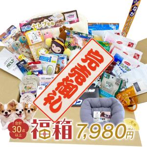 2023年 福袋 ゆく年くる年 福箱 犬用（小型犬向け） 詰め込みすぎっ！袋に入らなくて福箱になっちゃいました ■ 福袋 2022 予約（同梱不可）
