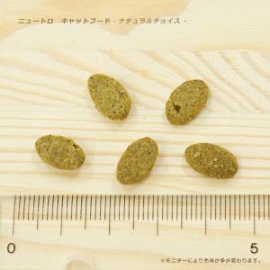 公認店 ニュートロ ナチュラル チョイス キャ...の詳細画像1