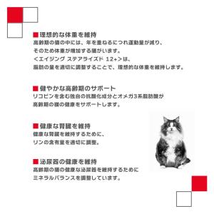 ロイヤルカナン FHN エイジング ステアライ...の詳細画像4