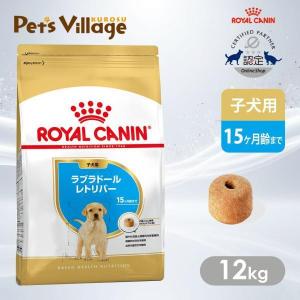 ロイヤルカナン（ROYAL CANIN） 犬 エイジングケア ドライ 3kg : 和泉