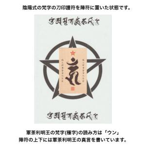 【あなたに害をなす者を退け、悪意と妨害を封じる...の詳細画像1