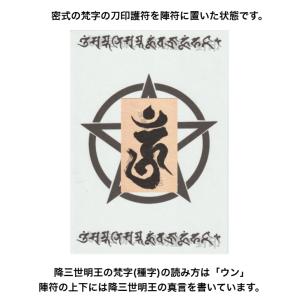 【生霊や悪霊を祓い返して、浄化する、呪い返し】...の詳細画像3