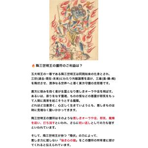 【生霊や悪霊を祓い返して、浄化する、呪い返し】...の詳細画像4