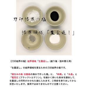 【清めの塩 清め塩 盛り塩 浄化】 陰陽師に伝...の詳細画像2