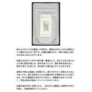 【清めの塩 清め塩 盛り塩 浄化】 陰陽師に伝...の詳細画像3