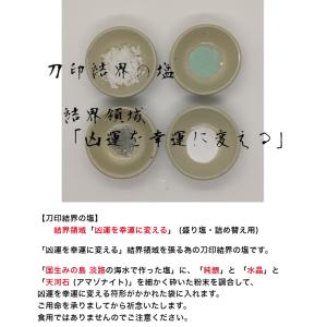 【清めの塩 清め塩 浄化 盛り塩】 陰陽師に伝...の詳細画像2