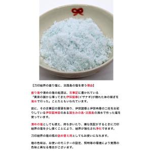 【清めの塩 清め塩 浄化 盛り塩】 陰陽師に伝...の詳細画像4