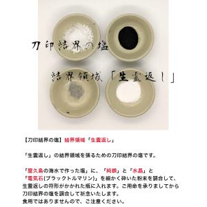 【盛り塩 浄化 清めの塩】 陰陽師に伝わるパワ...の詳細画像2