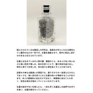 【盛り塩 浄化 清めの塩】 陰陽師に伝わるパワ...の詳細画像5