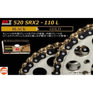 カワサキ（Kawasaki） 送料無料 BALIUS II / バリオス 2 ( ZR250B